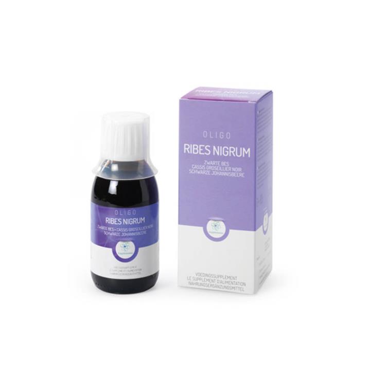 Ribes nigrum - Schwarze Johannisbeere
